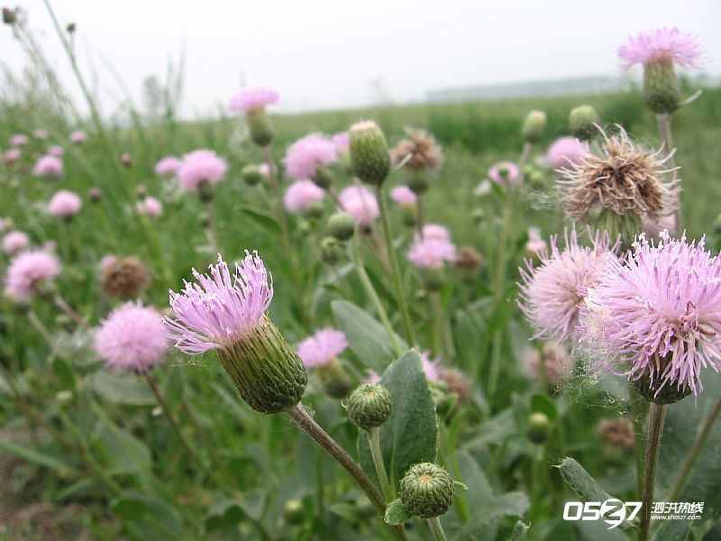 news_2012513193830.jpg