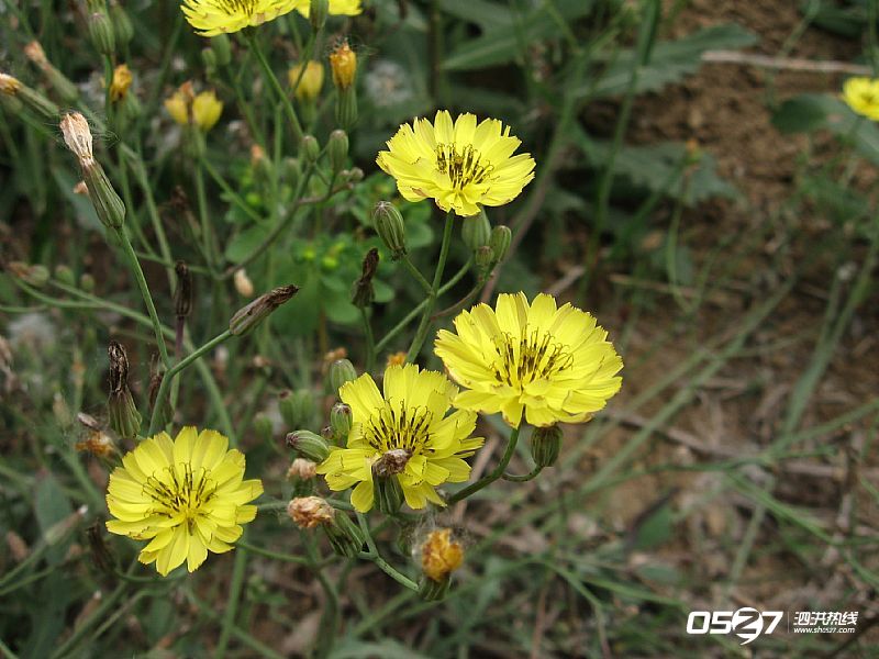 news_2012513193152.jpg