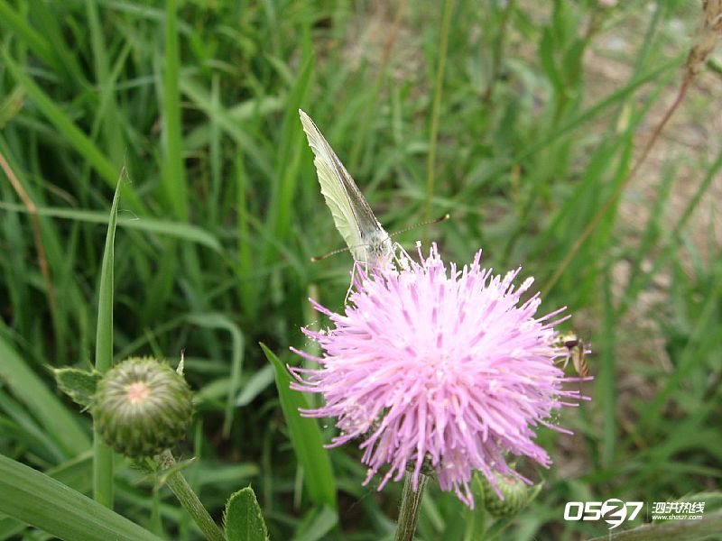 news_201251319488.jpg