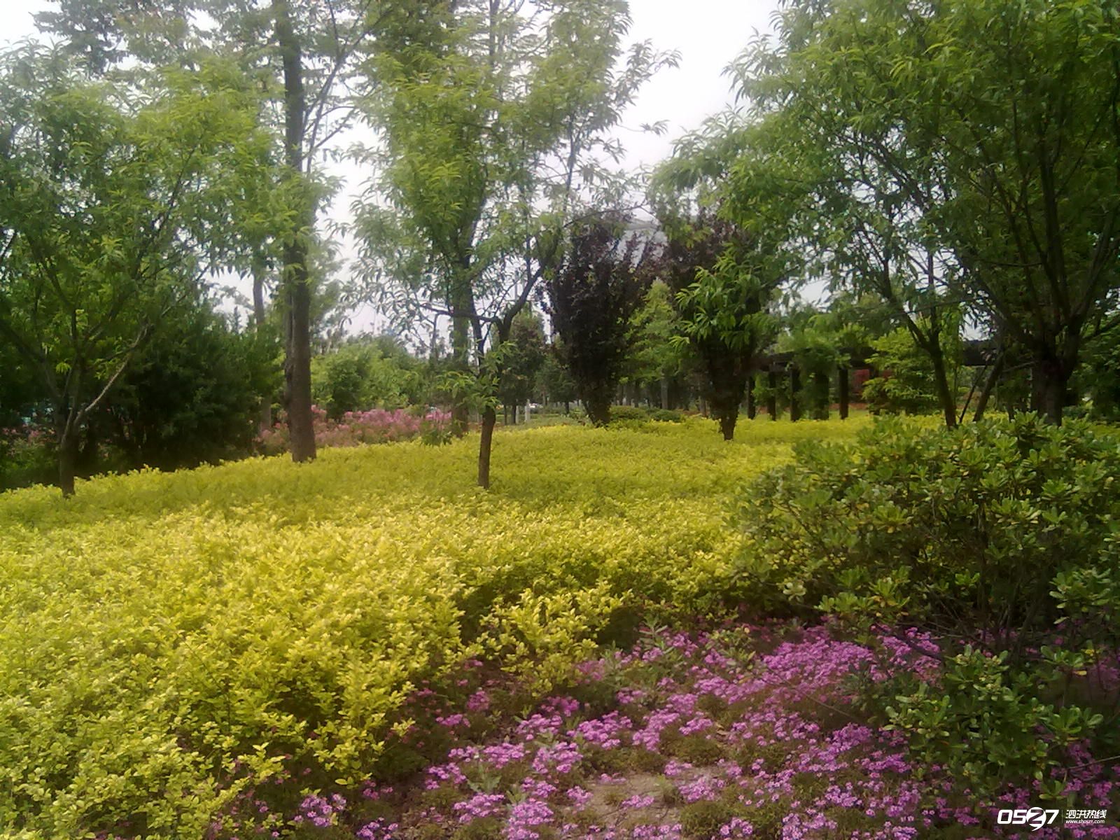 20120515568.jpg