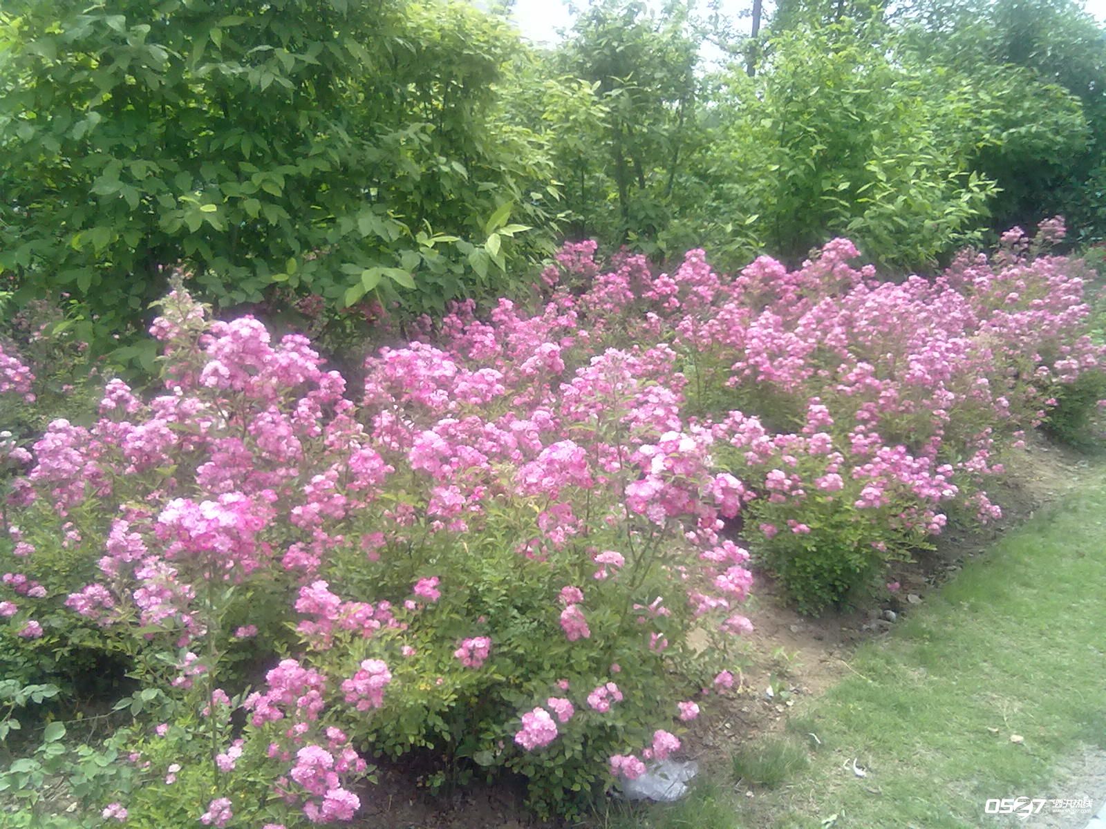 20120515571.jpg