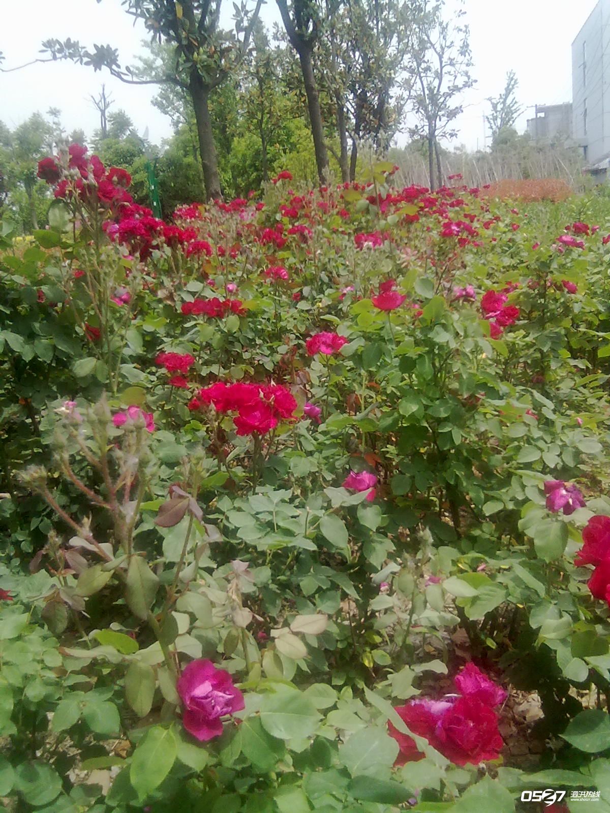 20120515574.jpg