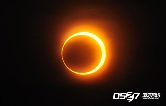 67818211.jpg