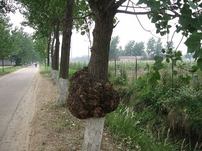 news_201252715446.jpg