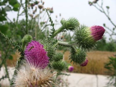 news_201252716045.jpg