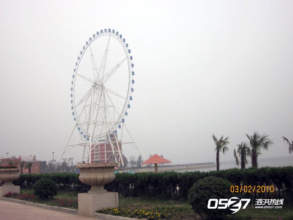 IMG_3968.jpg