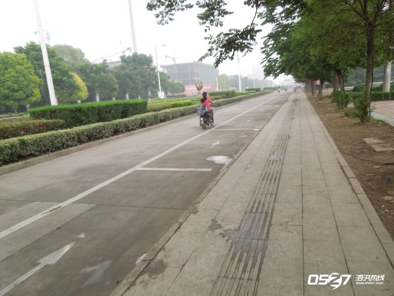 DSCN4590.jpg