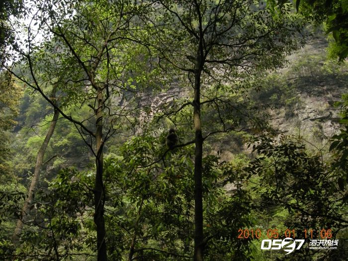DSCN3789.JPG