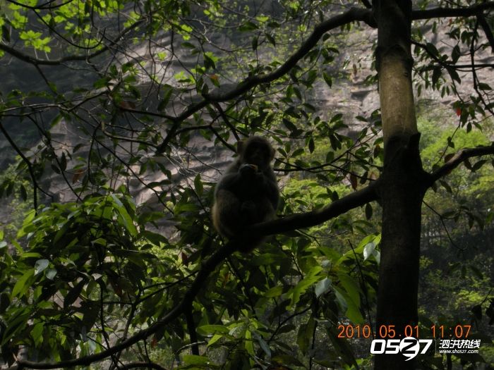 DSCN3791.JPG