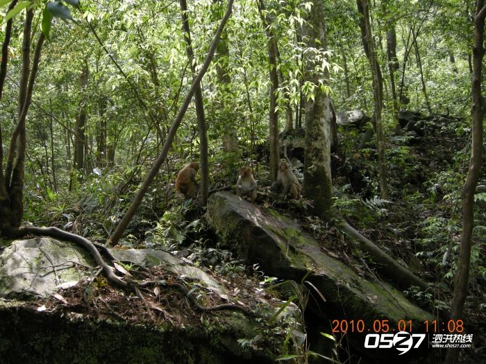 DSCN3793.JPG