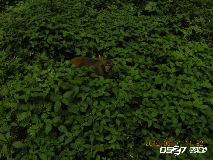 DSCN3812.JPG