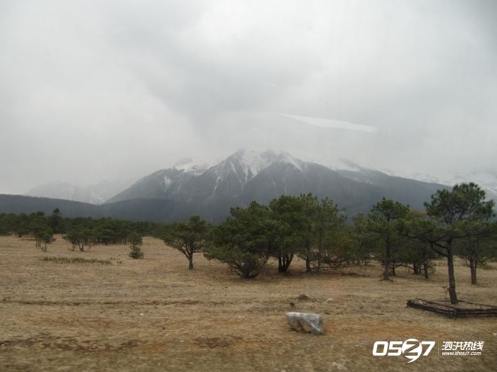 IMG_1092.jpg