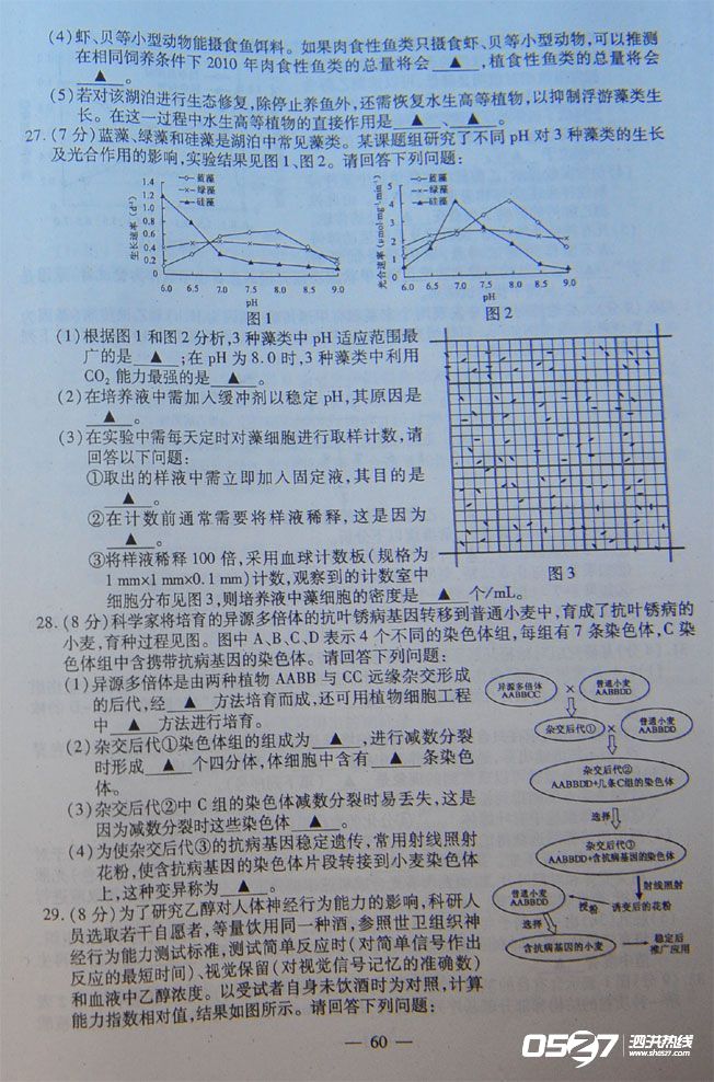 xinsrc_453060910172559318135129.jpg