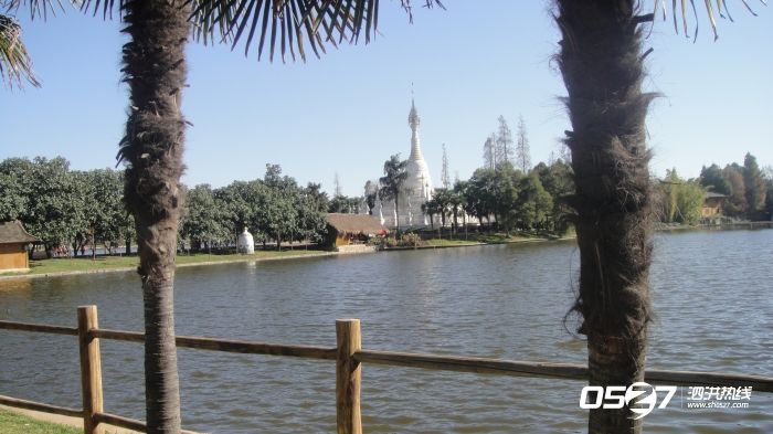DSC00775.JPG