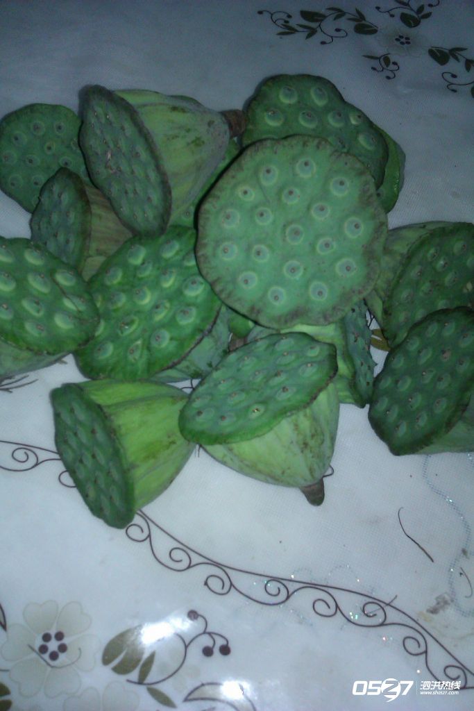 IMAG0770.jpg