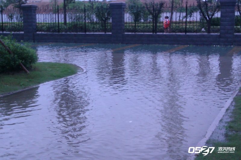 IMAG0782.jpg