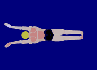 b_large_pmnQ_7d6c000052532d10.gif