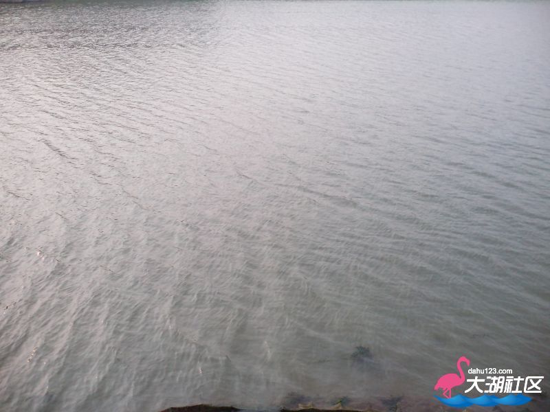 124306gleljg4ejqs0463g.jpg