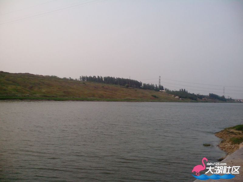 1242586rft906jnufel0e0.jpg