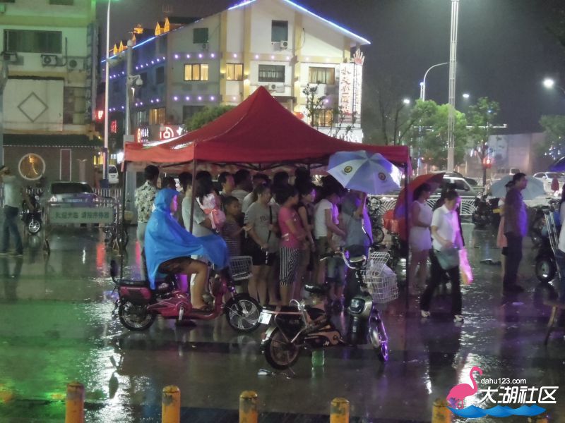 DSCN1311.JPG