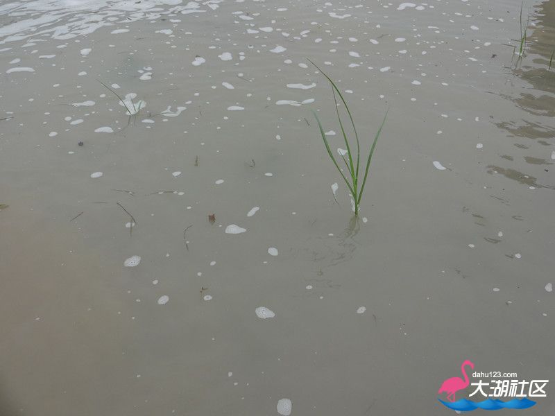 DSC00780_副本.jpg