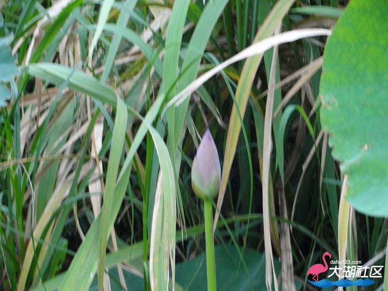 DSC00817_副本.jpg