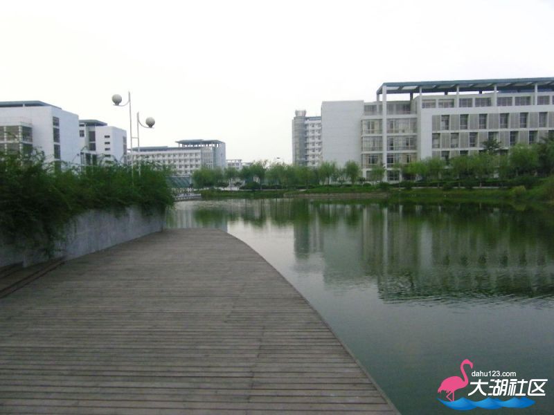 s1000_100_4708.jpg