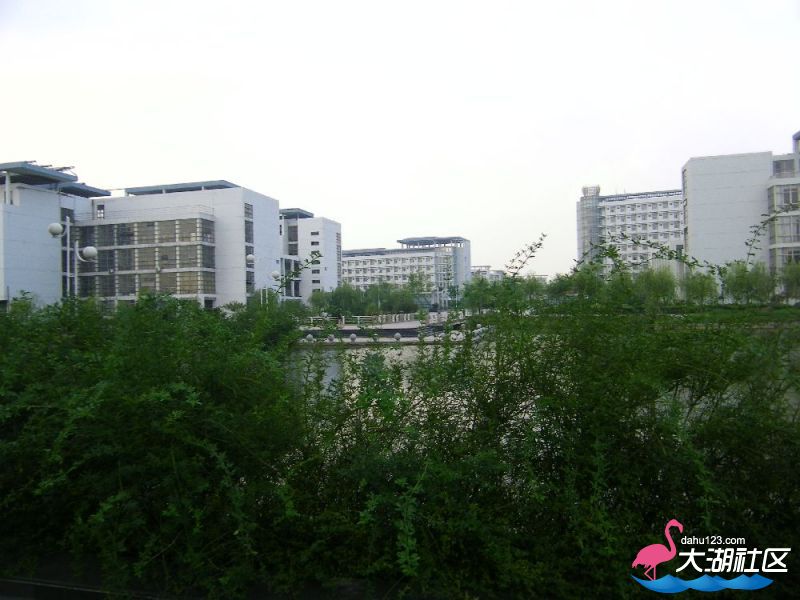 s1000_100_4709.jpg