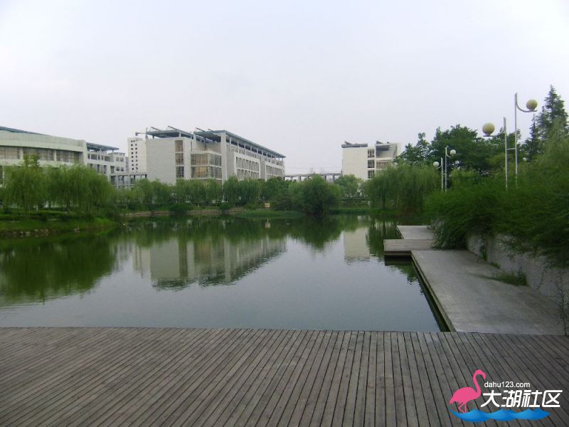 s1000_100_4707.jpg