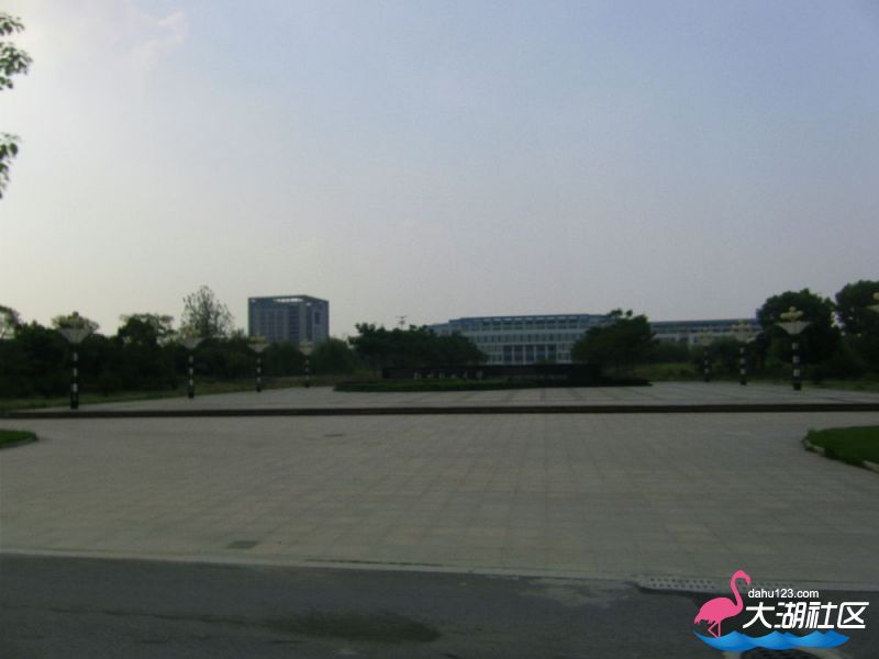 s1000_100_4553.jpg