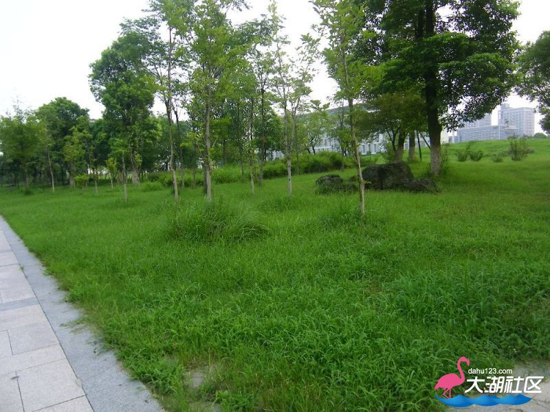 s1000_100_4704.jpg