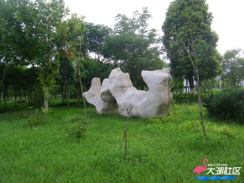 s1000_100_4706.jpg
