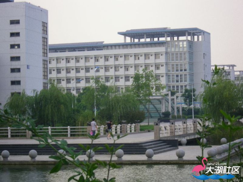 s1000_100_4710.jpg