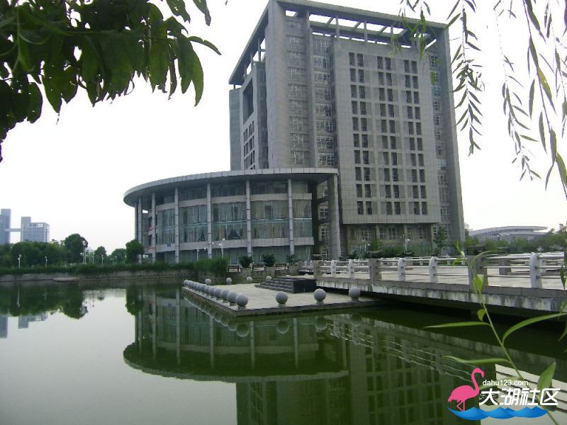 s1000_100_4715.jpg