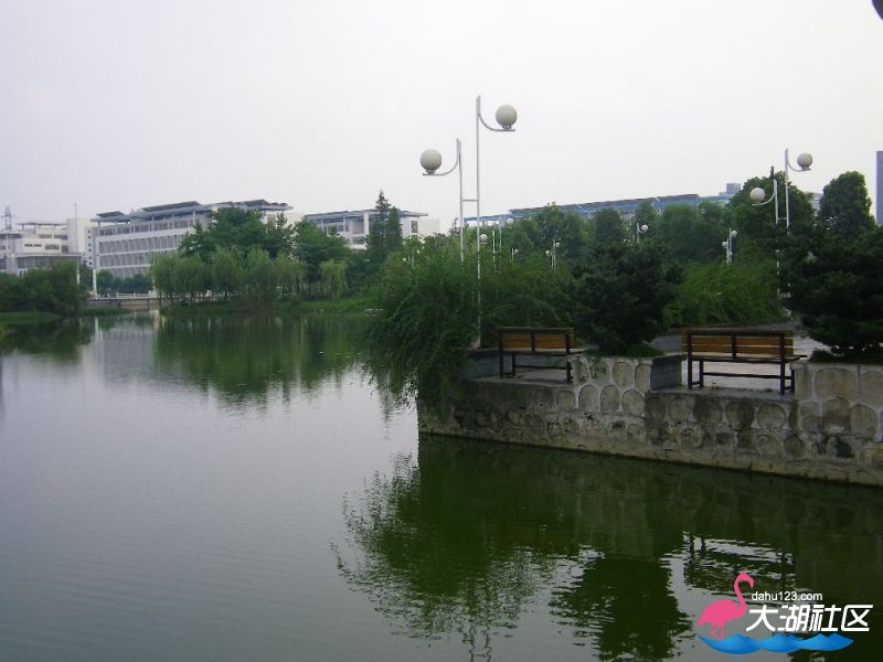 s1000_100_4712.jpg
