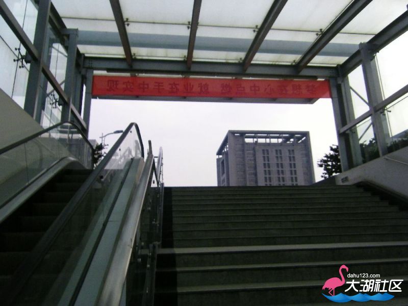 s1000_100_4719.jpg