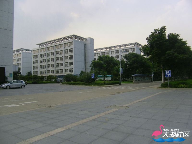 s1000_100_4722.jpg