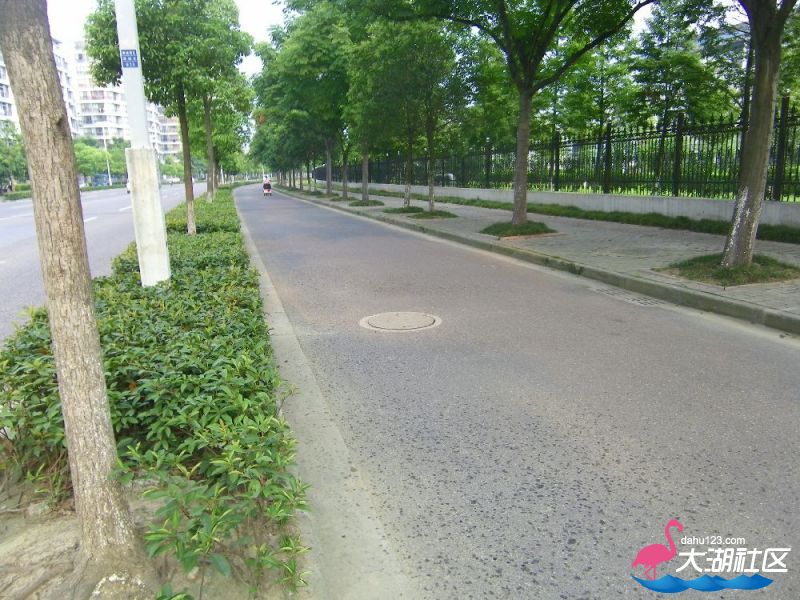 s1000_100_4723.jpg