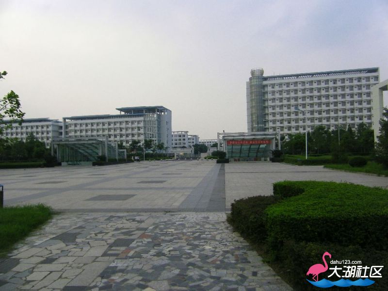 s1000_100_4717.jpg