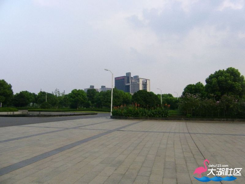 s1000_100_4692.jpg