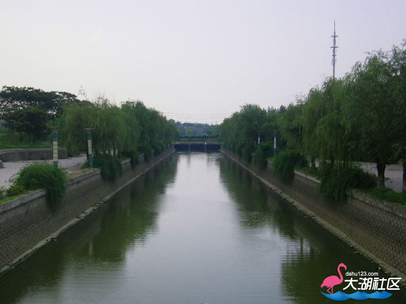 s1000_100_4577.jpg