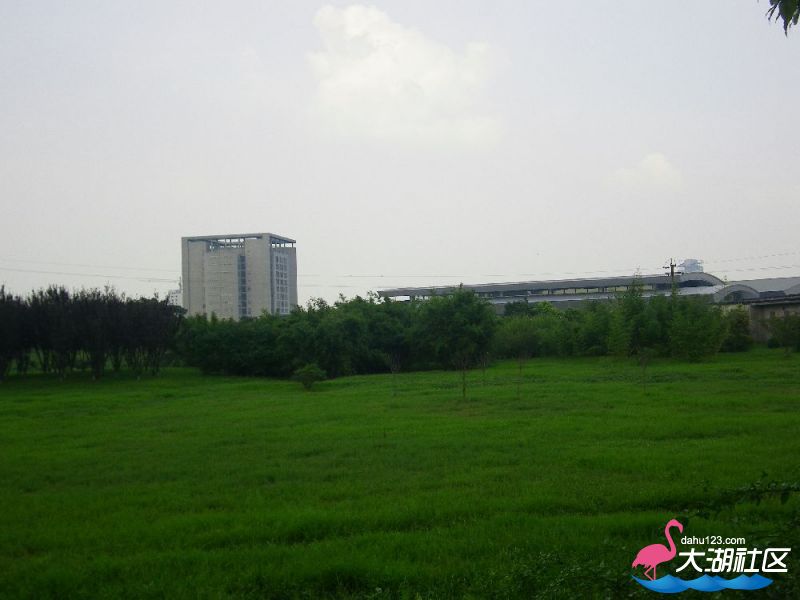 s1000_100_4592.jpg