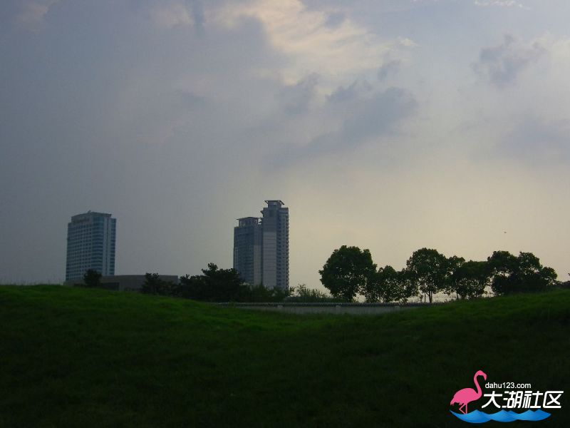 s1000_100_4565.jpg