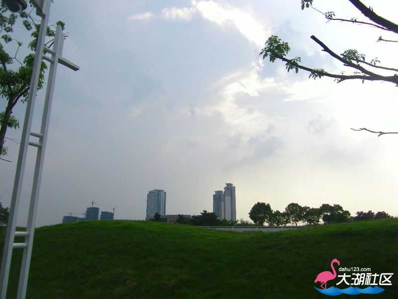 s1000_100_4564.jpg