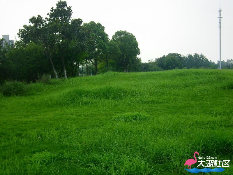 s1000_100_4574.jpg