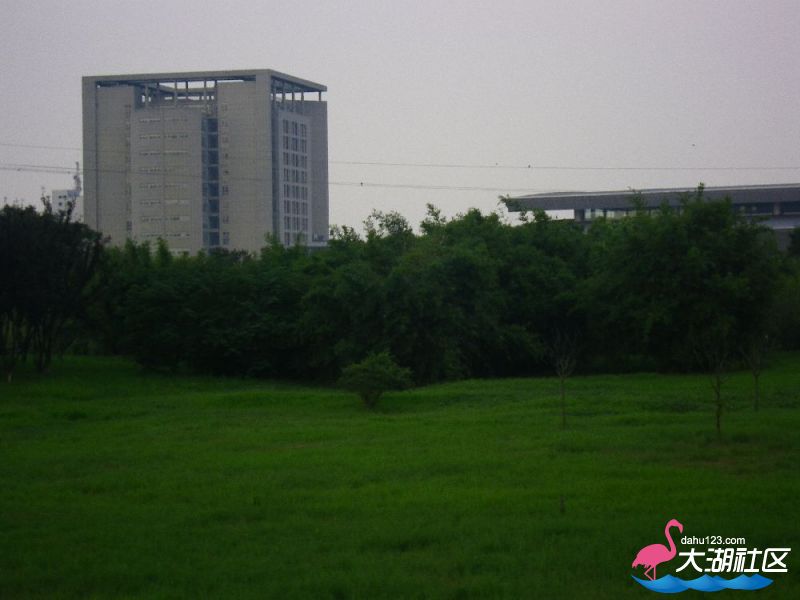 s1000_100_4594.jpg