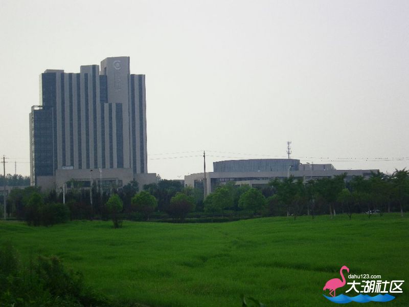 s1000_100_4596.jpg