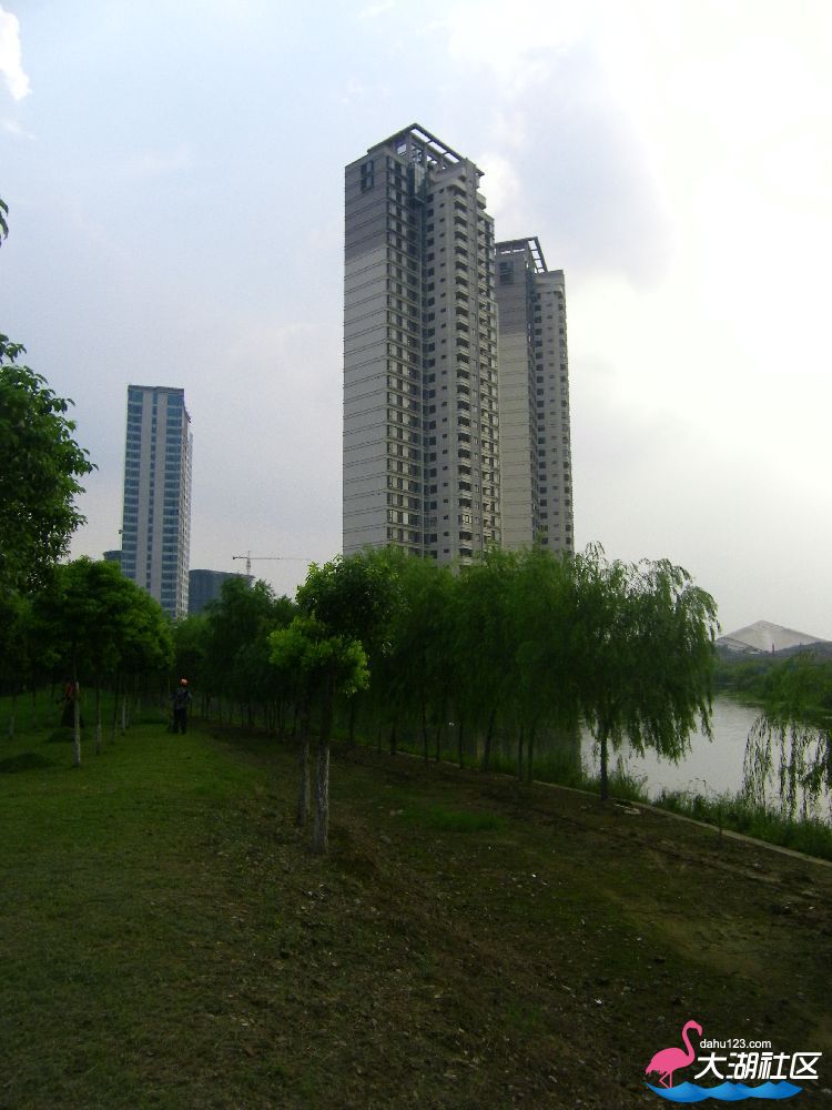 s1000_100_4618.jpg