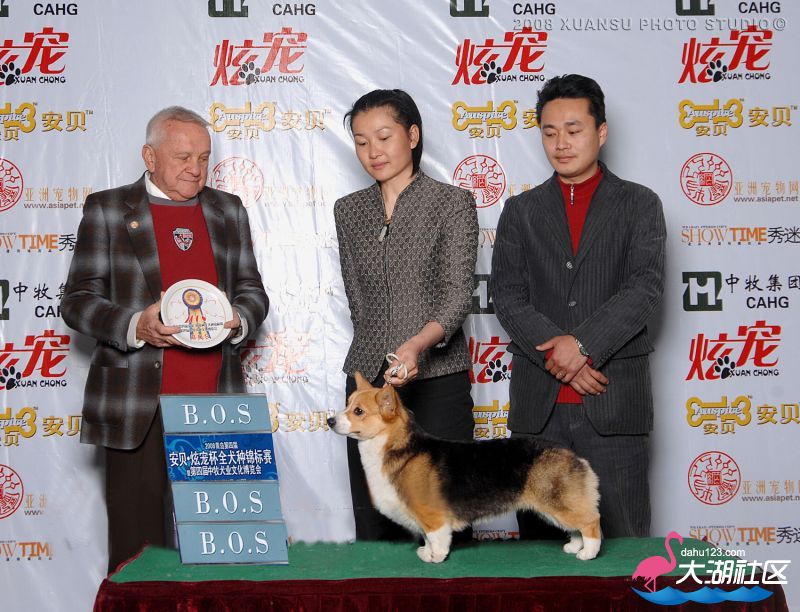 2008年4月青岛CKC-BOS.jpg