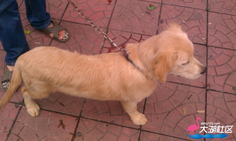 IMAG0353.jpg